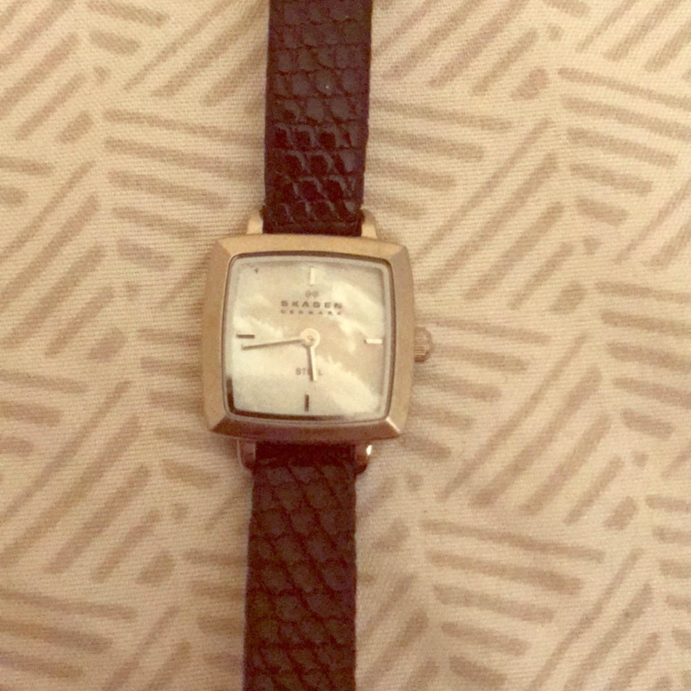 Women's Skagen Watch
